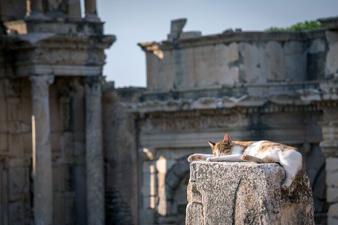 Ephesus: Private Tour with Skip-The-Line & Less Walking - Who This Tour Fits Best