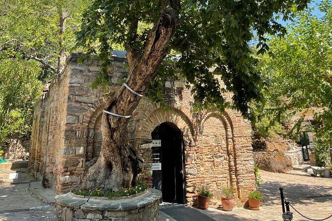 FOR CRUISERS: Best of Ephesus Tour with GUARANTEED ON-TIME RETURN - Temple of Artemis and Saint John Basilica views