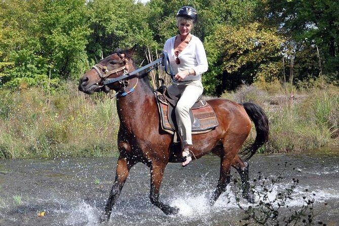 Horse Riding From Kusadasi Port / Hotels - Pickup and costs outside central Kusadasi
