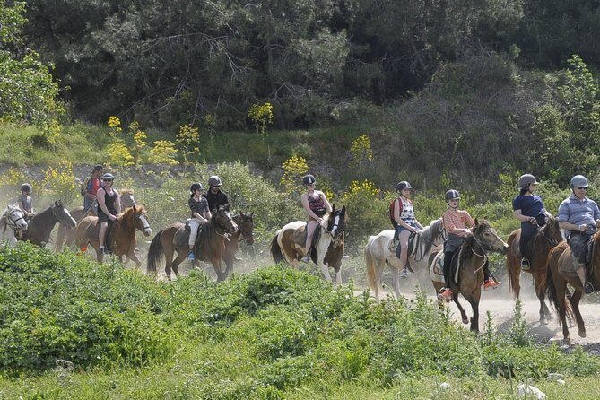 Kusadasi Horse Riding Beach and Forest options with Transfer - Price and Value: Is $66.08 Fair for What You Get?