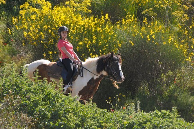 Kusadasi Horse Riding On Beach And Through The River - How Much Does It Cost, and Is $50 Good Value?