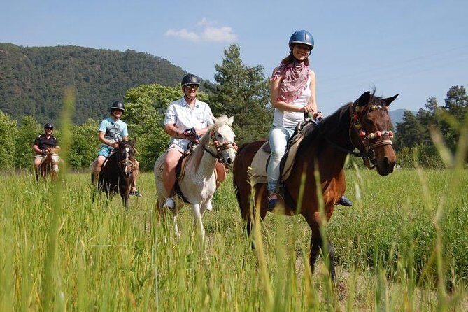 Kusadasi Horseback Riding - Kusadasi Horse Safari: The 3-Hour “Get to the Beach” Plan