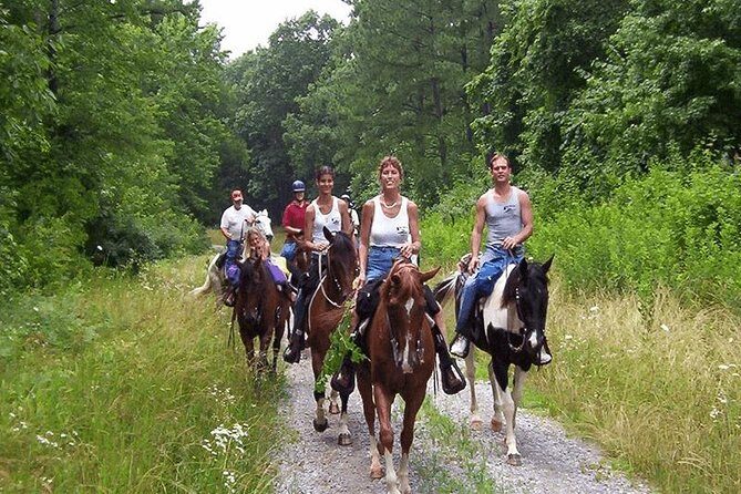 Kusadasi Horseback Riding - The bug reality: horse flies, fleas, and what to do about it