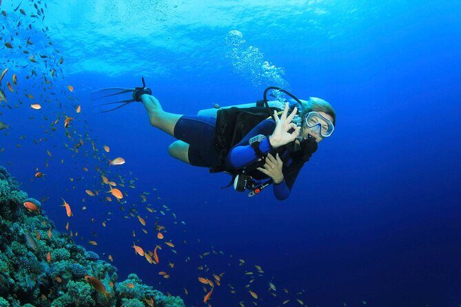 Kusadasi Scuba Diving Tour By Local Experts - Key Things I’d Zero In On