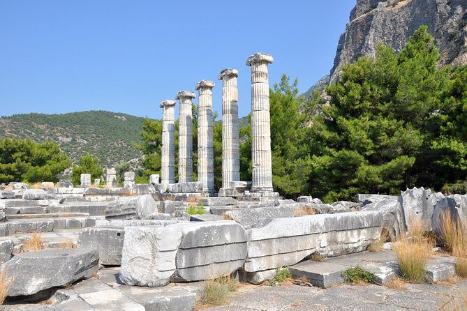 Priene Miletos Didyma Tour From Kusadasi / Selcuk Hotels - Stop 3: Didyma (Didim) and the Temple of Apollo that never fully finished