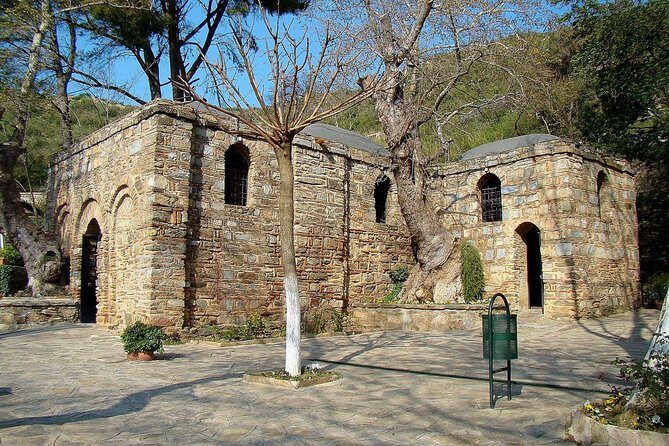 SKIP-THE-LINE: Group or Private Ephesus & Artemis Tour with LUNCH - Skip-the-line Ephesus timing built for cruise days